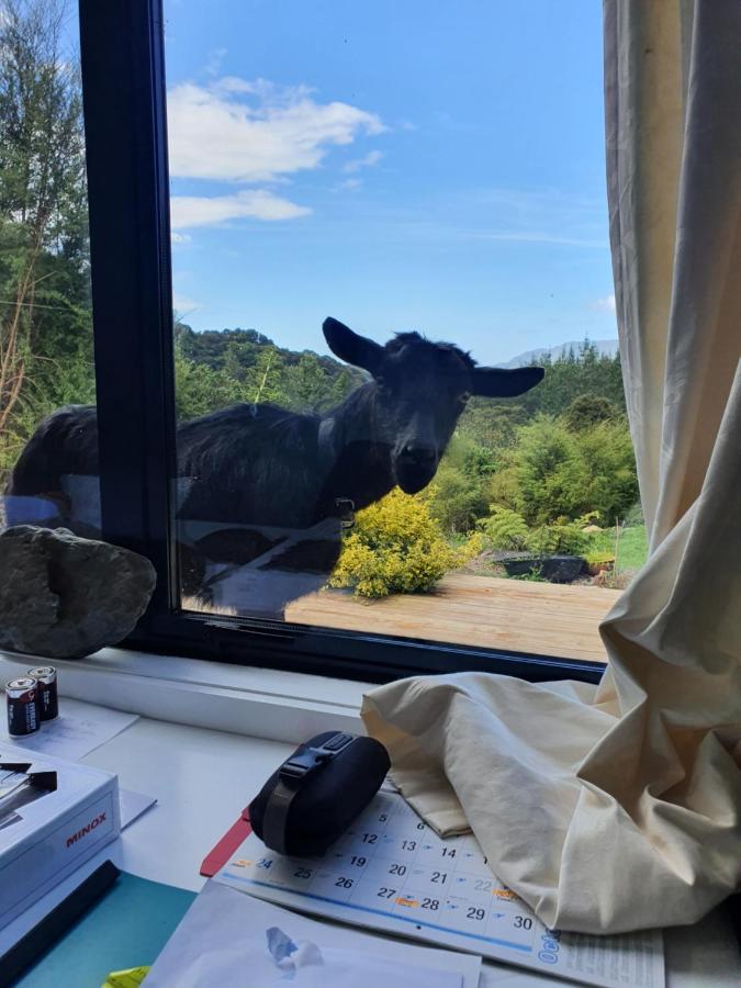 Golden Bay Glamping Ξενοδοχείο Takaka Εξωτερικό φωτογραφία